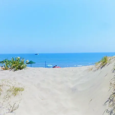 公寓 Romana Playa Elviria 马尔韦利亚